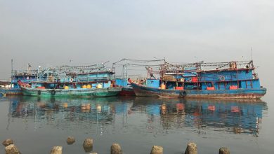 Walhi Dki: Pemprov Dki Belum Serius Lindungi Teluk Jakarta