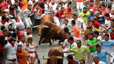 Para peserta berlari cepat di samping banteng petarung Pedraza de Yeltes dekat pintu masuk arena adu banteng dalam festival San Fermin di Pamplona, Spanyol utara. (ANTARA/REUTERS)