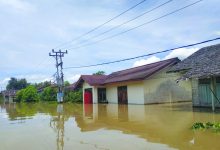 Banjir Di Kapuas Hulu Rendam Daerah Pesisir Sungai Kapuas