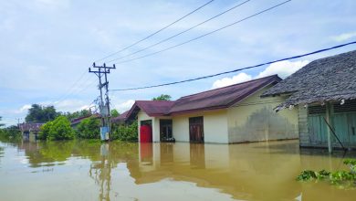 Banjir di Kapuas Hulu Rendam Daerah Pesisir Sungai Kapuas