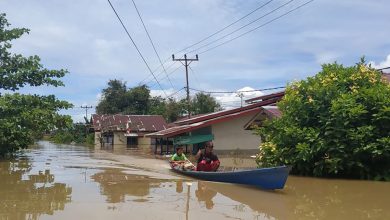 BPBD Kapuas Hulu Sebut 10.596 Rumah Warga Terendam Banjir