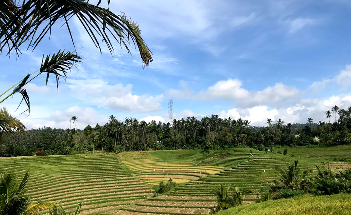 Langit Berawan Dan Cerah Berawan Selimuti Hampir Semua Kota Besar Di ...