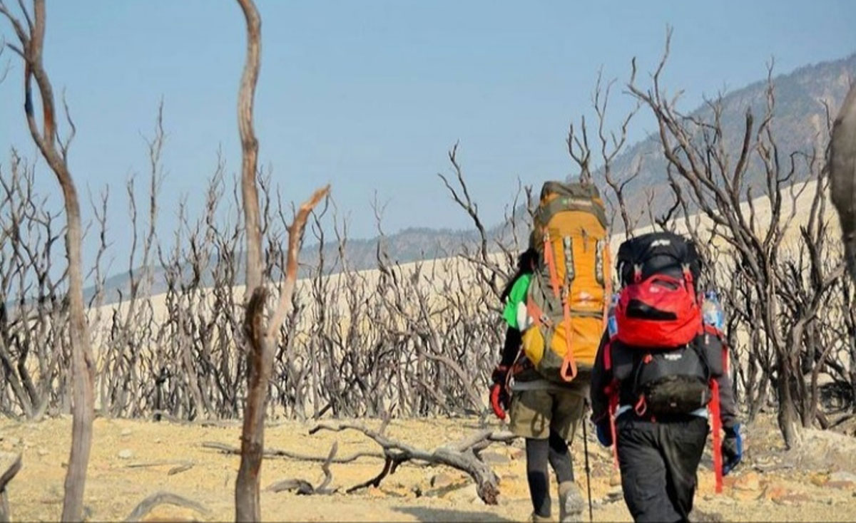 Gunung Papandayan