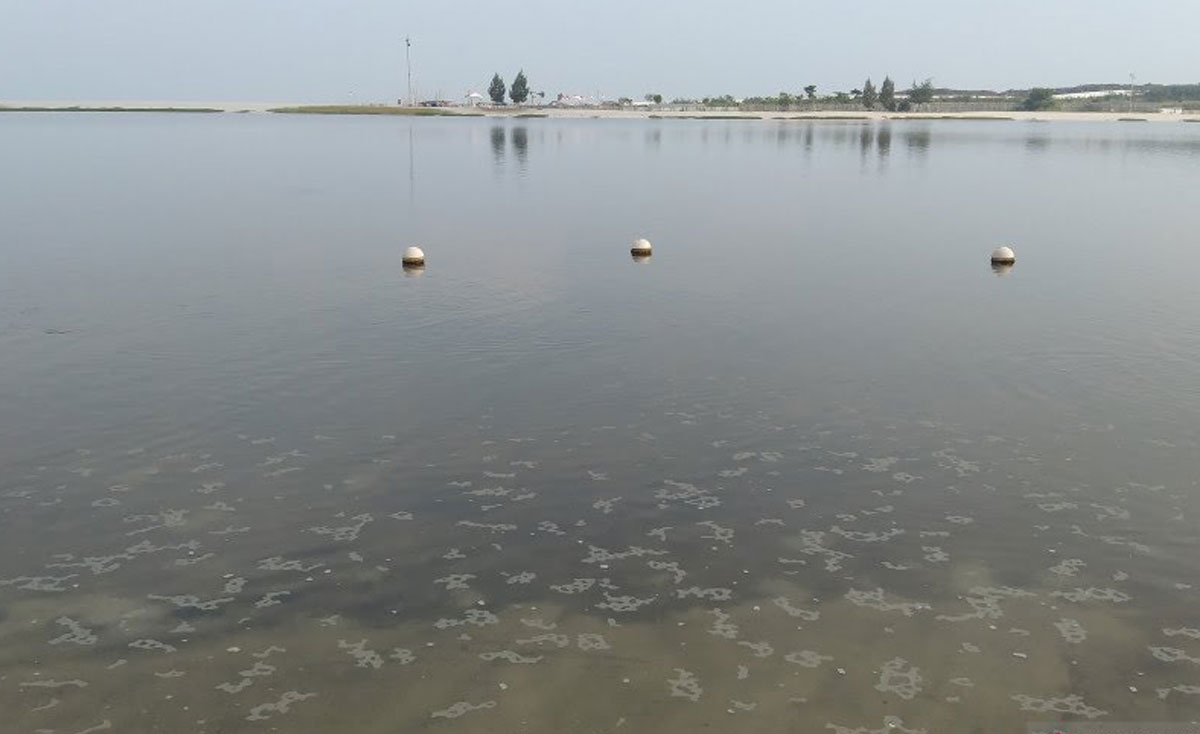 indoposco