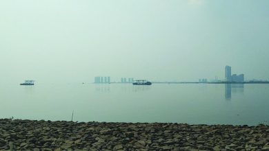 Parasetamol Tidak Diuji Dalam Penelitian Pencemaran Di Teluk Jakarta