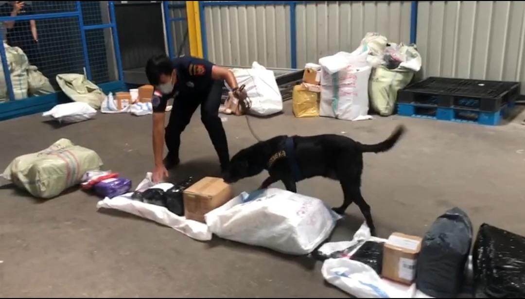 Tim K-9 Bea Cukai Batam kembali berhasil identifikasi sabu di dalam barang kiriman yang akan dikirimkan ke Lombok Timur. Foto : Bea Cukai