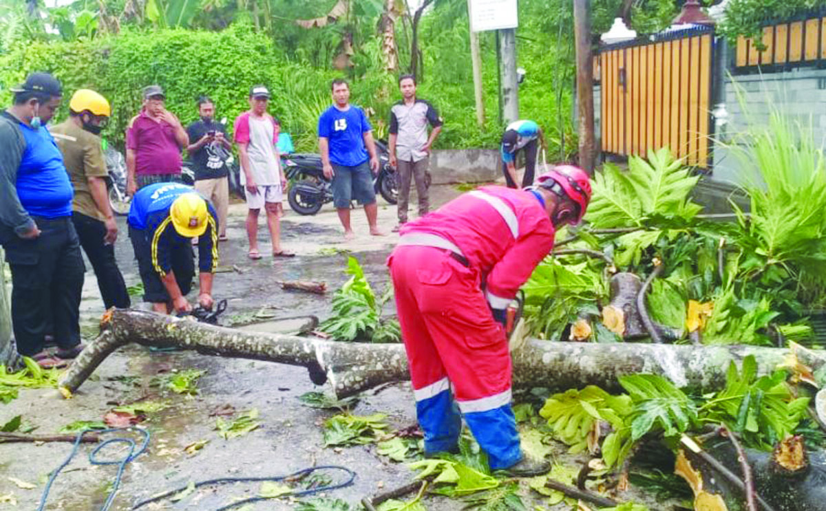 pohon dan baliho tumbang