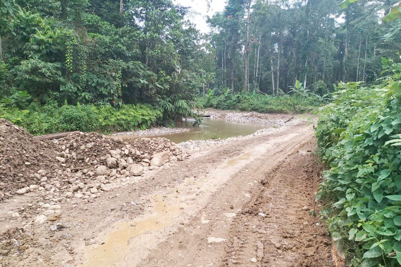 jalan papua