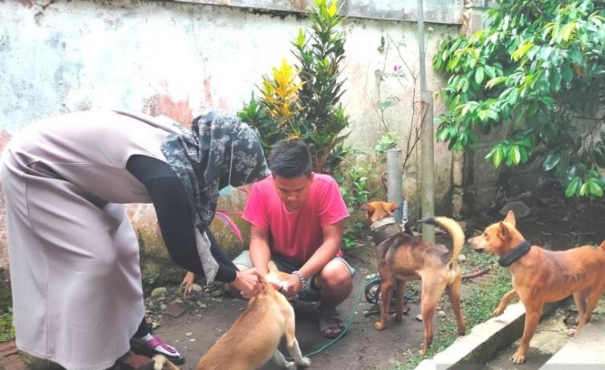 kegiatan vaksinasi masal hewan