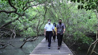 Ktt G20 Bali, Menko Marves : Pentingnya Program Restorasi Mangrove