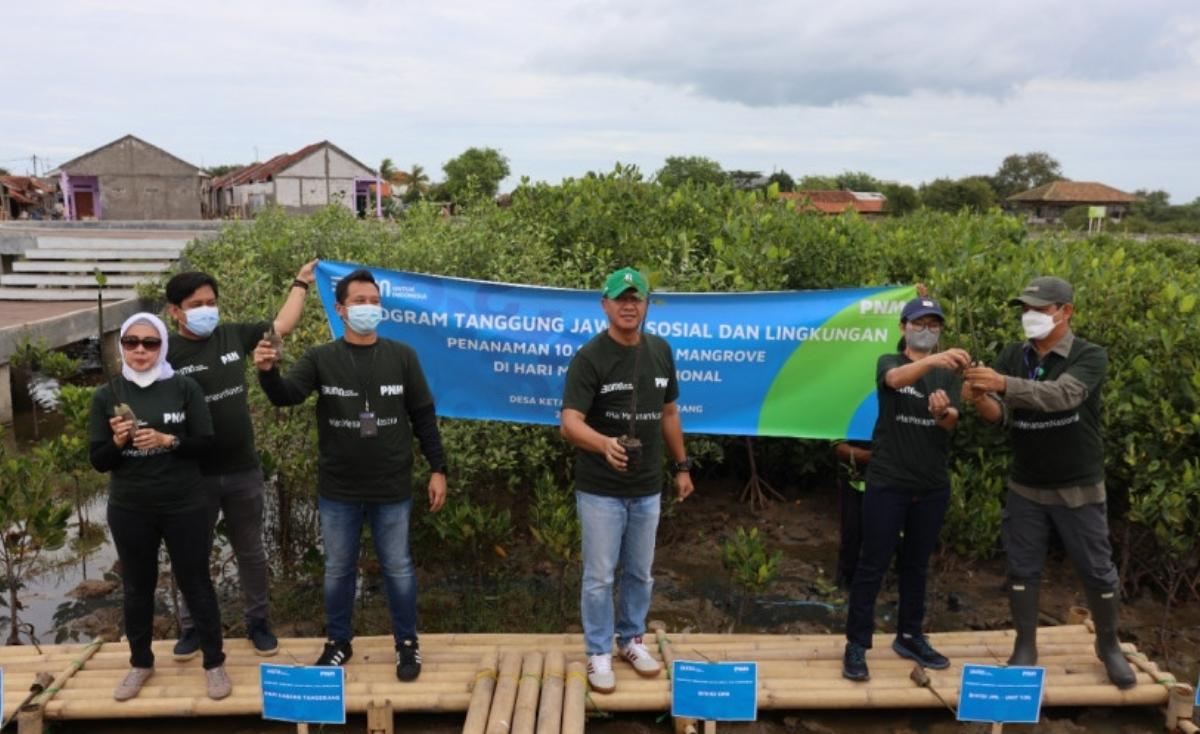 pohon-mangrove