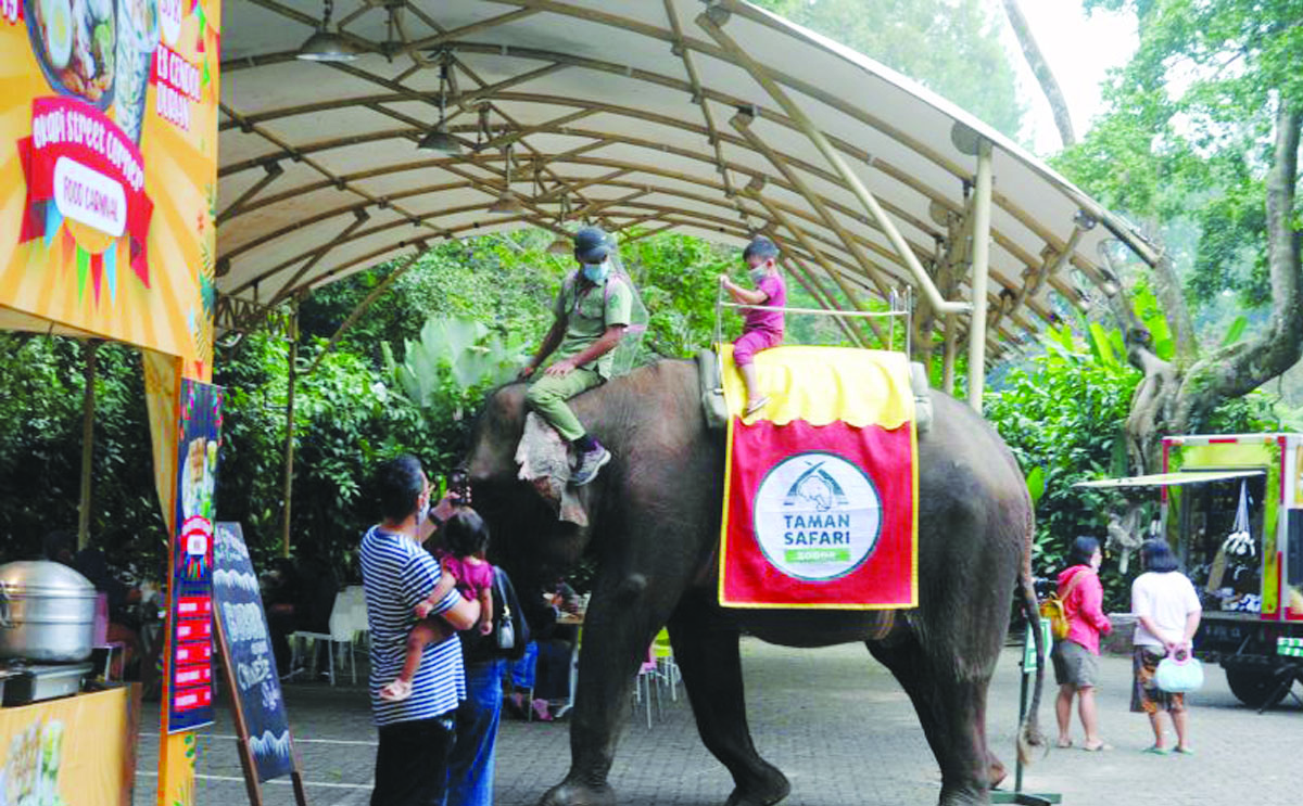 taman safari