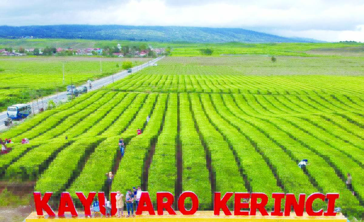 teh aro