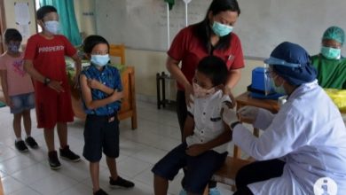Vaksinasi Untuk Anak Foto: Antara