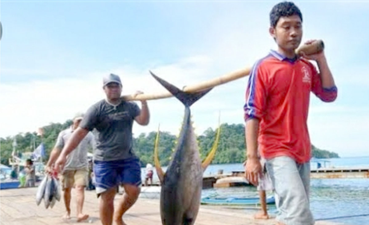 illustrasi, nelayan membawa ikan tuna