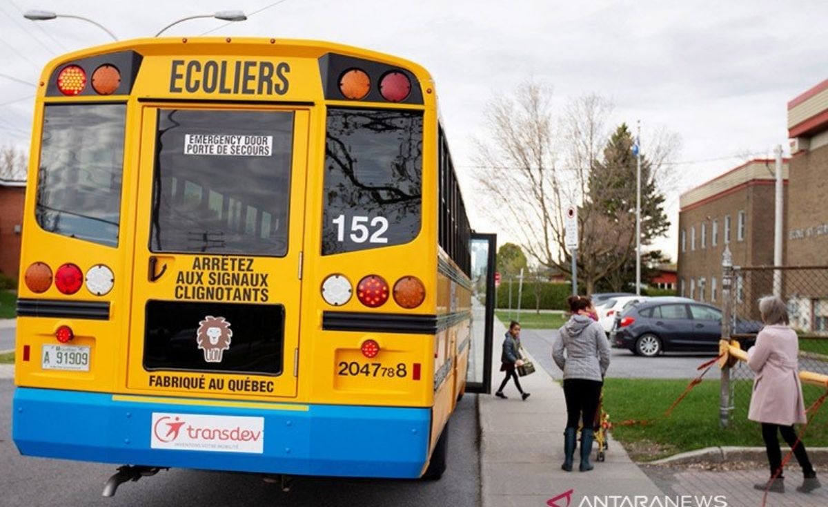 bus