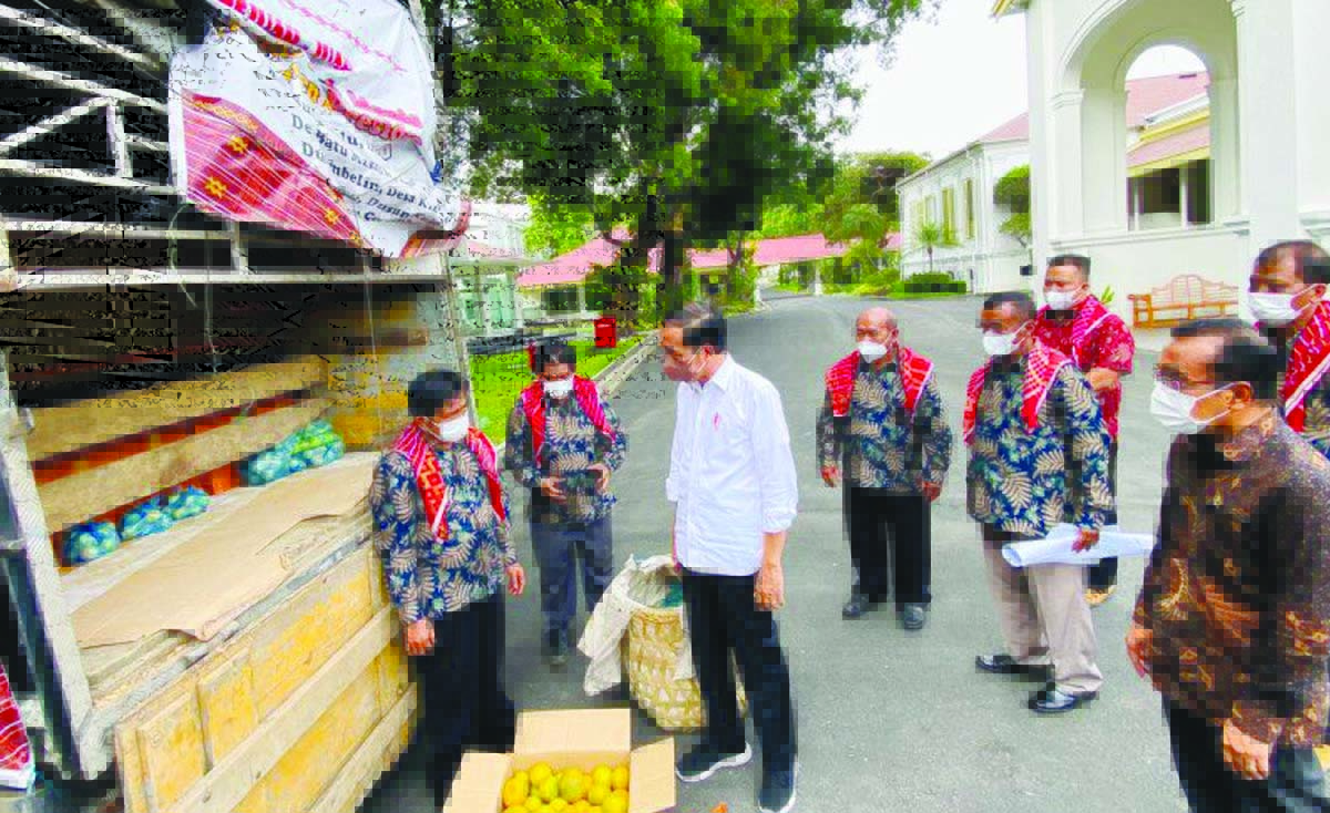jokowi jeruk