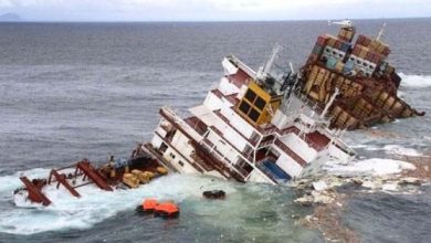 Ilustrasi. Foto : Antara/Reuters/Maritime New Zealand/Handout