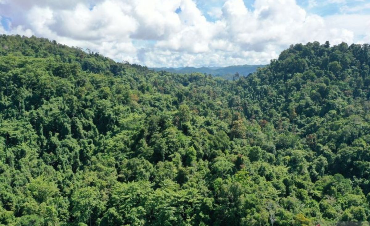 kawasan cagar alam papua
