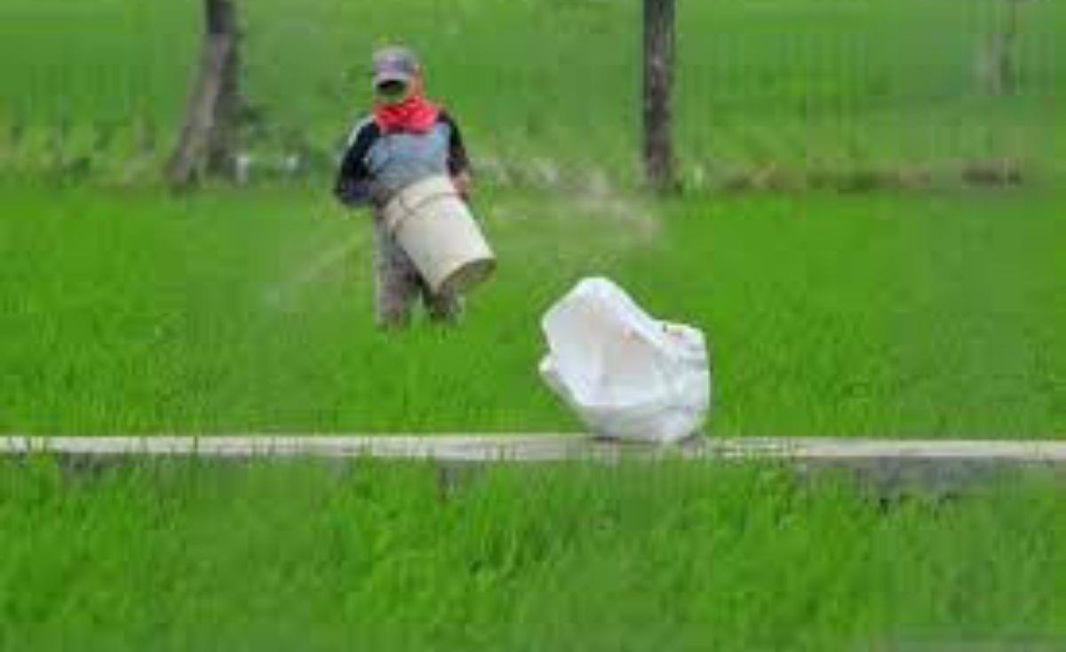 petani