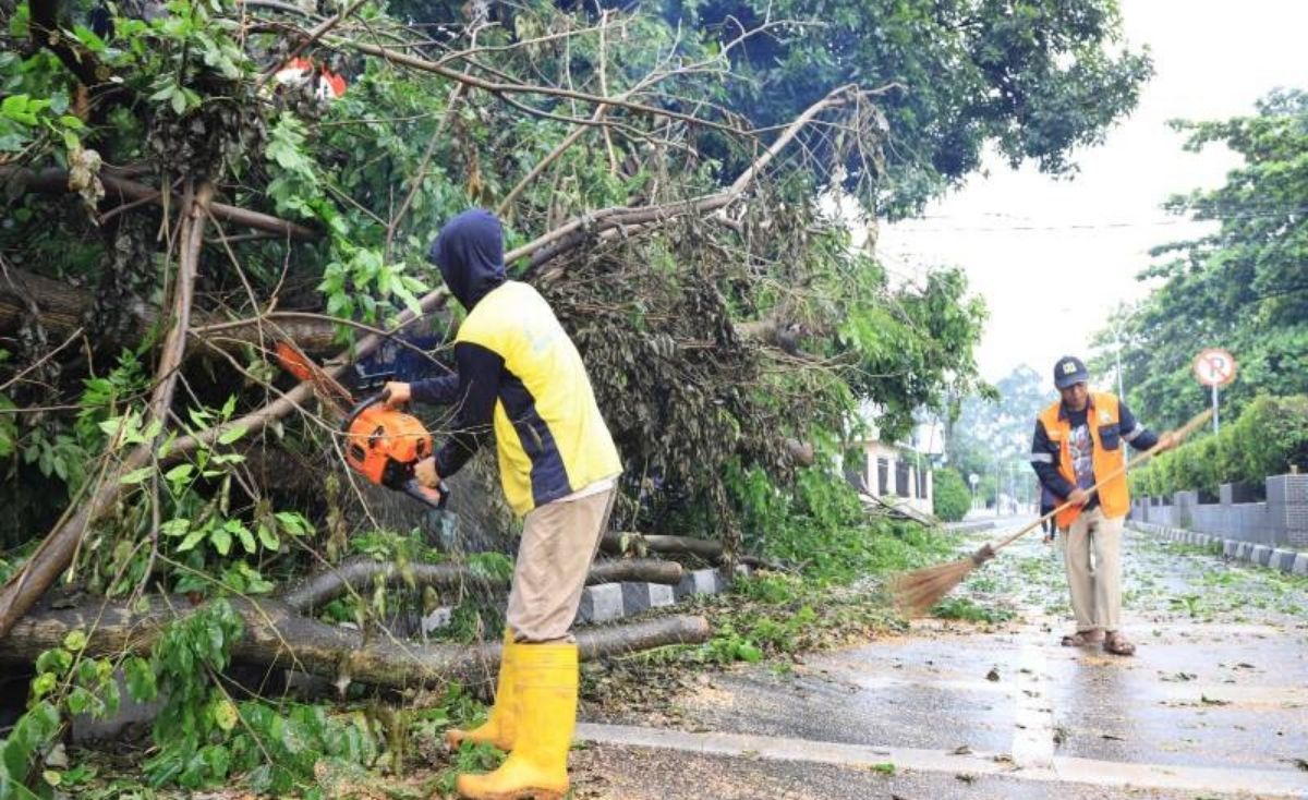 Awas Banyak Pohon Tumbang Di Kota Tangerang Indoposco