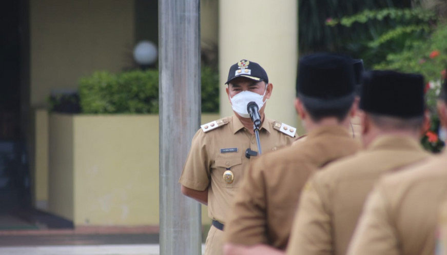 Wakil bupati
