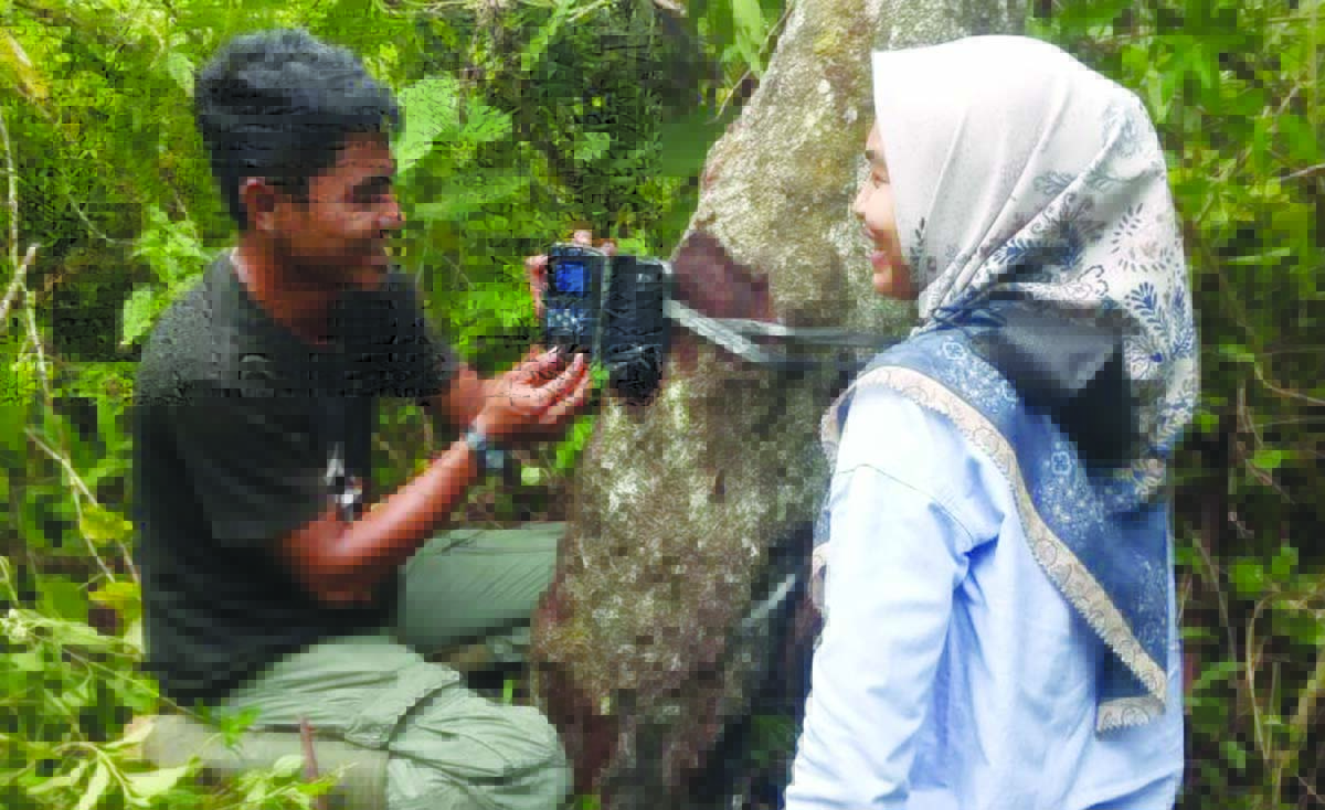 beruang madu