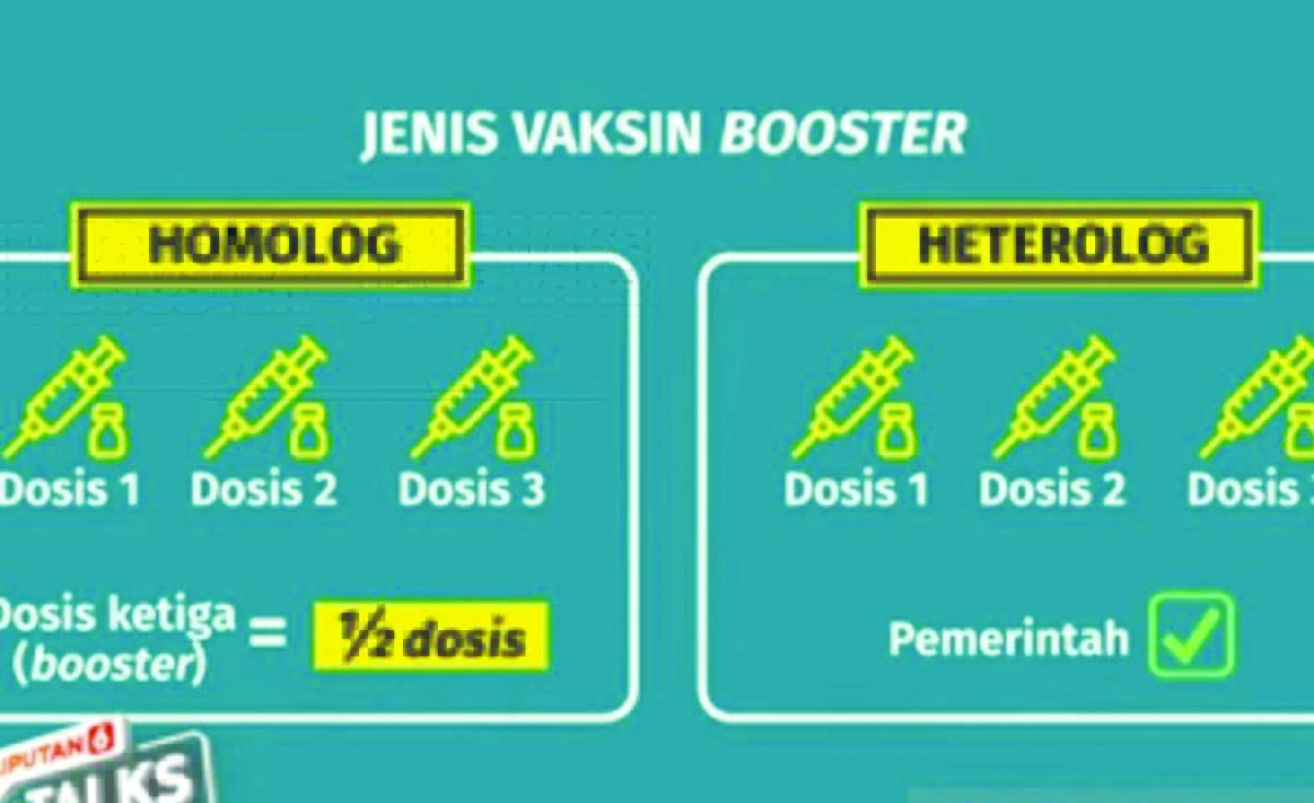 booster homolog
