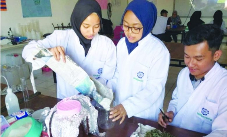 mahasiswa