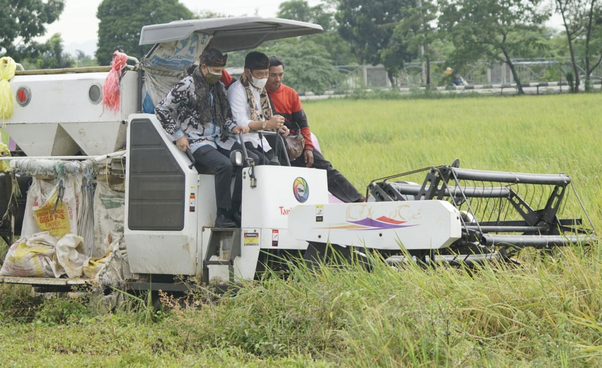 kementan