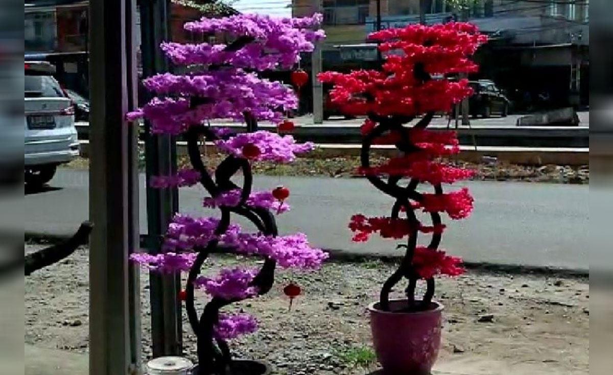 pohon bunga Sakura