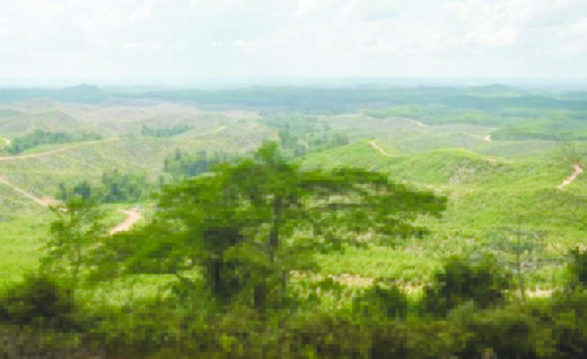 ruu ikn