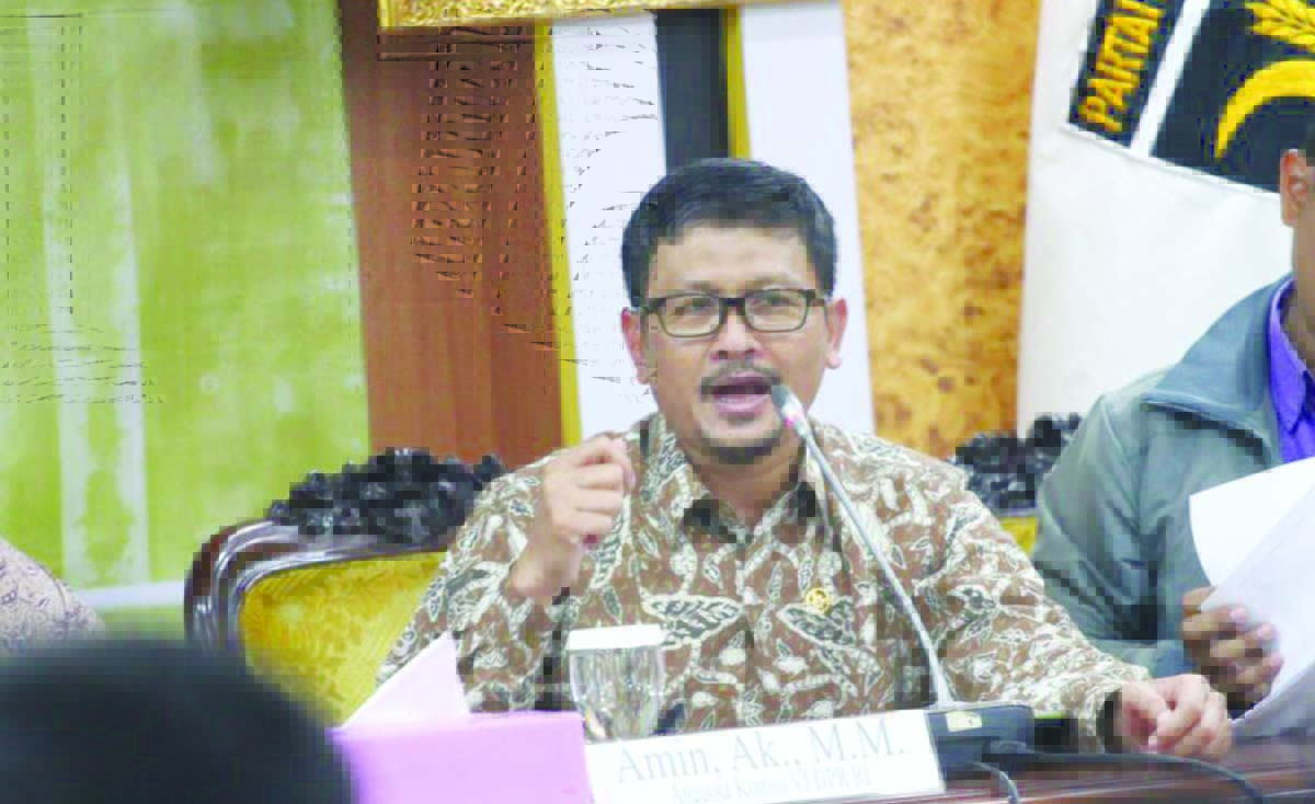 amin dpr