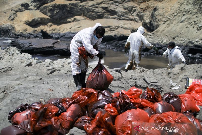 Para pekerja membersihkan tumpahan minyak, akibat ombak tidak biasa yang dipicu oleh erupsi besar gunung api bawah laut Tonga, di pantai Peru di Ventanilla, Peru, Selasa (18/1/2022). Foto : Antara /Reuters/Pilar Olivares/foc/cfo