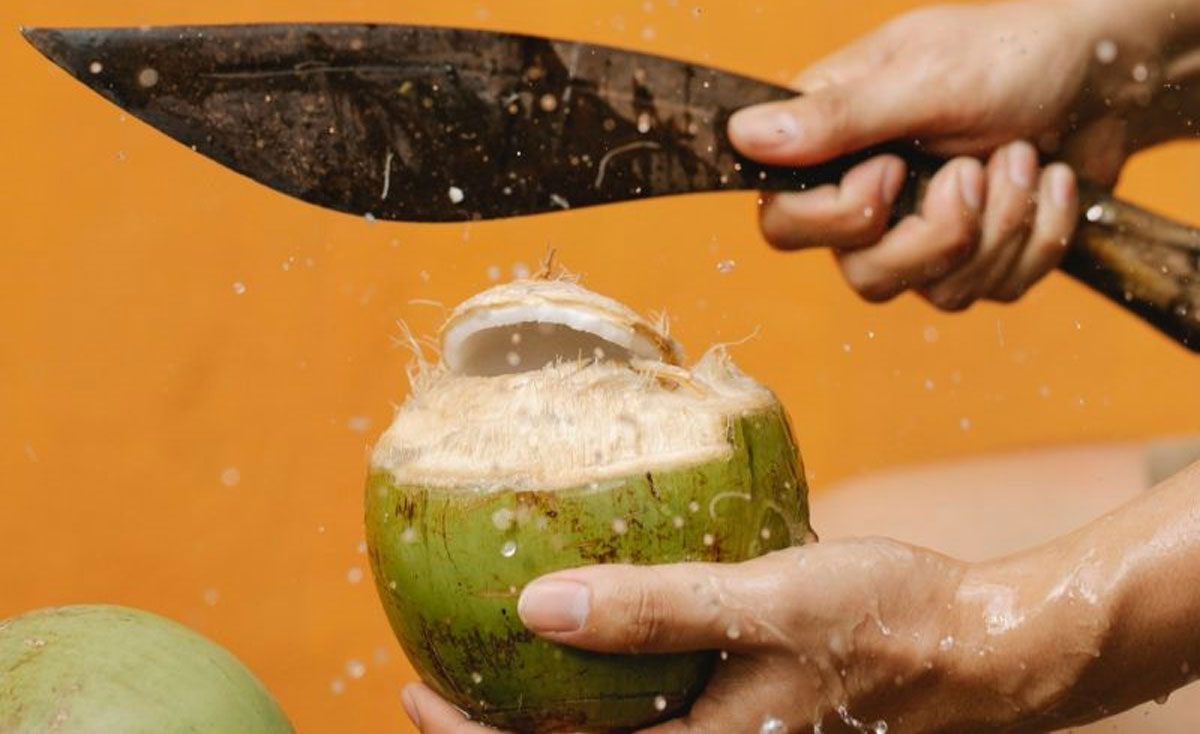 air kelapa