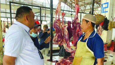 Direktur Alsintan Kementan Keliling Pasar Di Aceh Pantau Stabilitas Pangan
