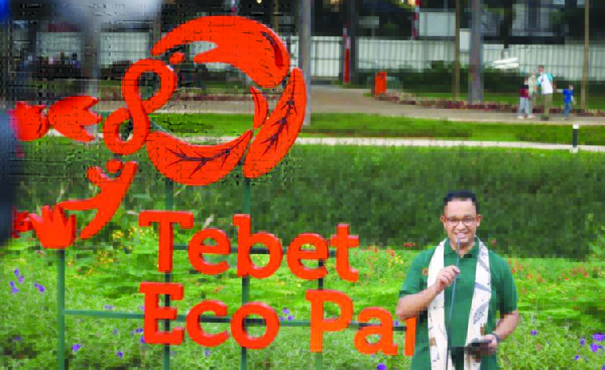 anies tebet