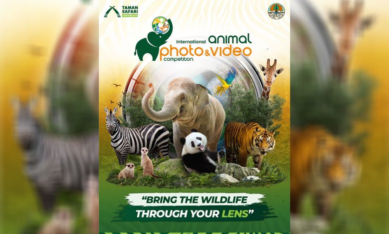 Taman Safari Indonesia Kembali Gelar Lomba Foto Satwa Bergengsi