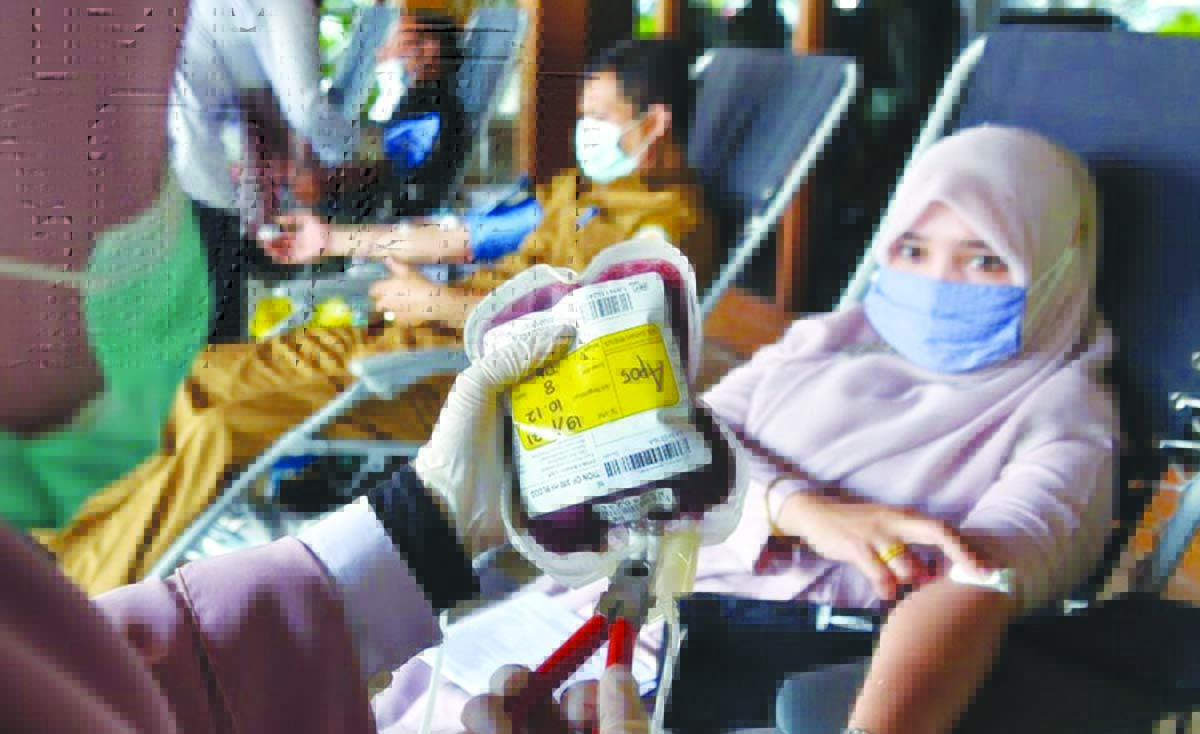 donor darah
