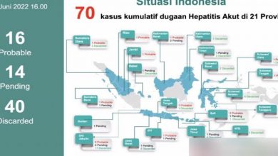 Diagram Hepatitis Akut