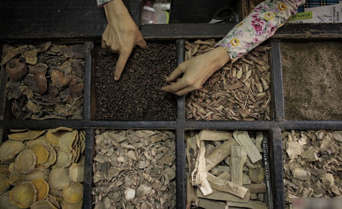 Tanaman Herbal