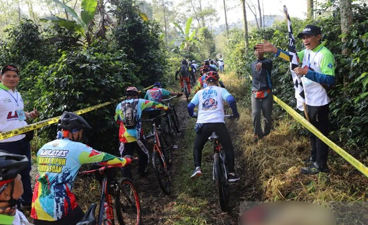 garut