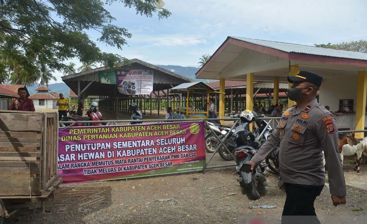 pasar-hewan