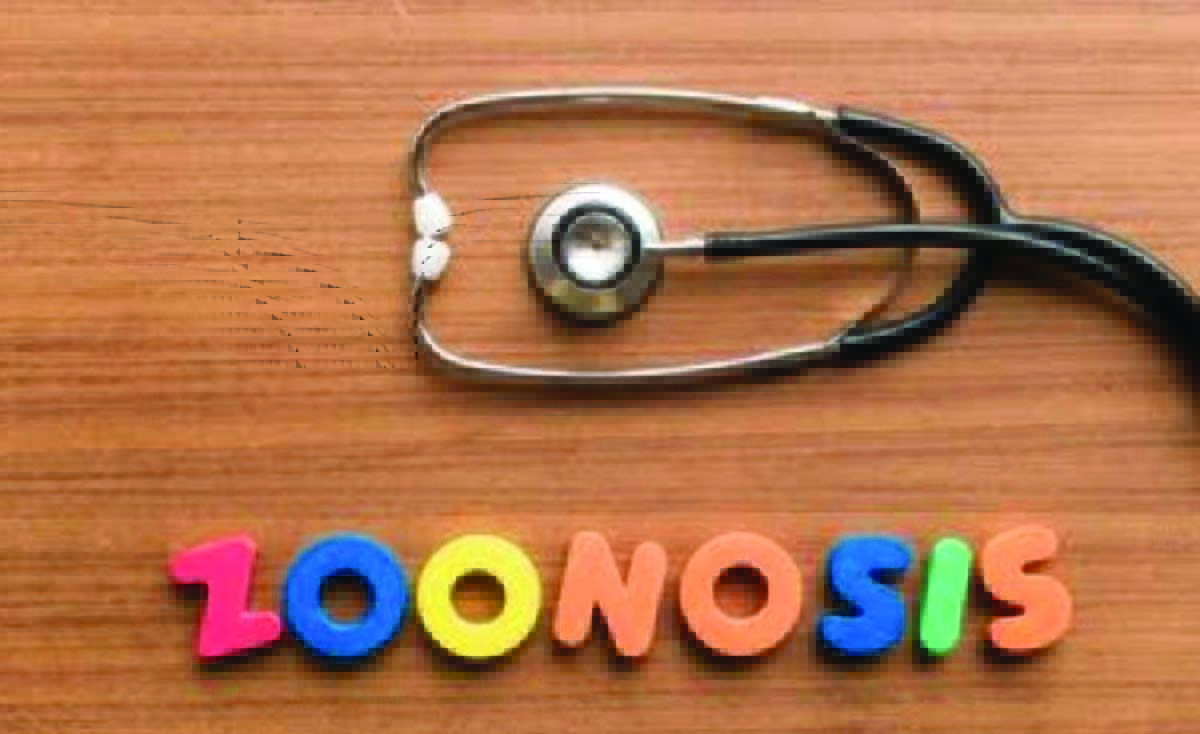 zoonosis