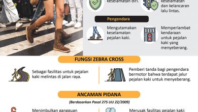 Aturan dan Fungsi Zebra Cross