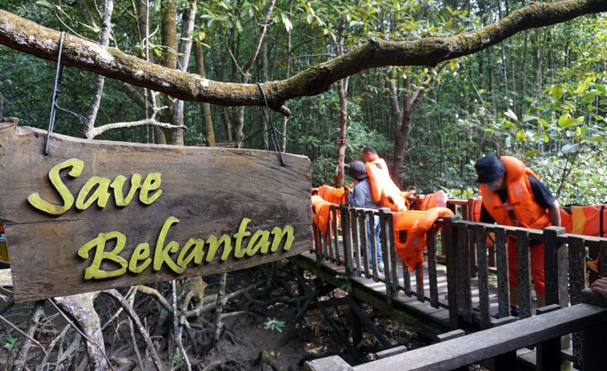 bekantan