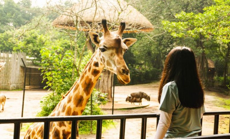 Bandung-Zoo