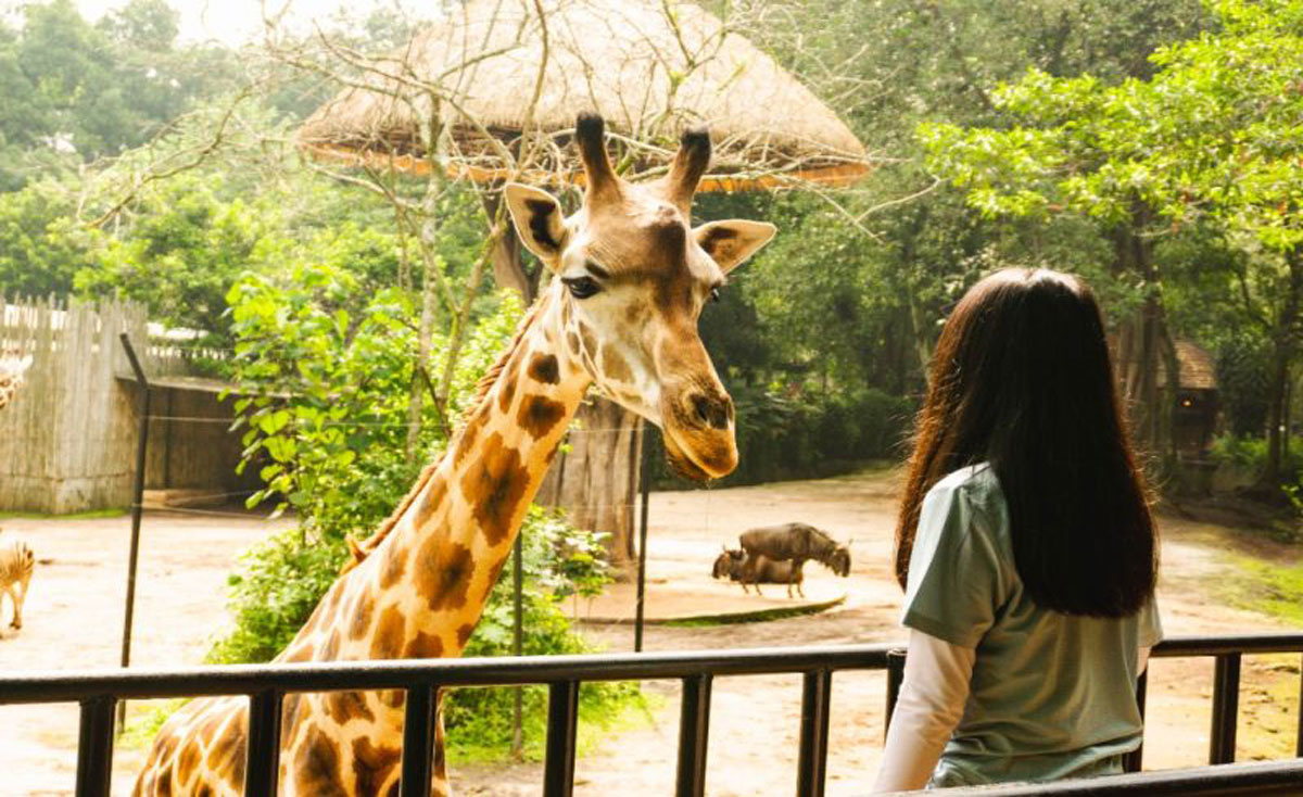 Bandung-Zoo