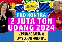 Pro Kontra 2 Juta Ton Udang 2024 v Panjang Pantai & Luas Lahan Potensial | Ngaco bareng TB. Haeru R