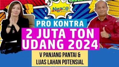 Pro Kontra 2 Juta Ton Udang 2024 V Panjang Pantai &Amp; Luas Lahan Potensial | Ngaco Bareng Tb. Haeru R